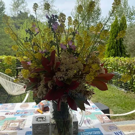 Raya Garden דירה סיווירי