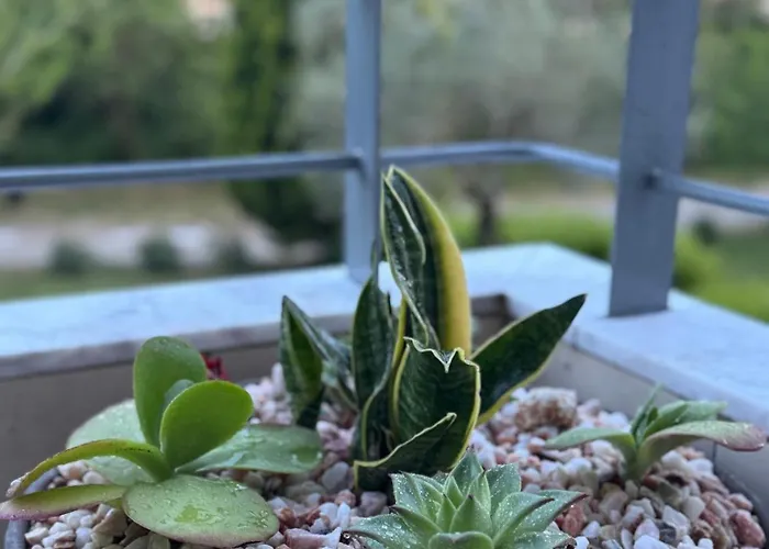 Apartament Raya Garden *