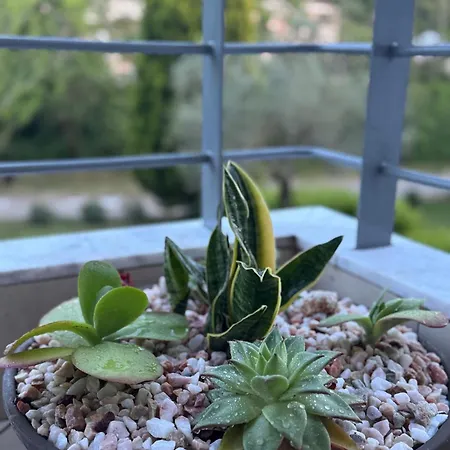 Lägenhet Raya Garden *
